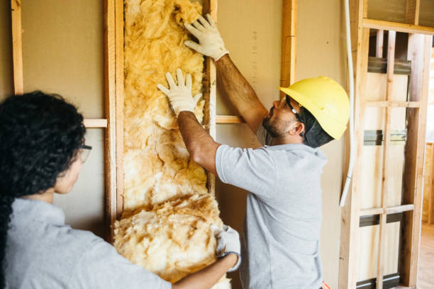 Insulation for Commercial Buildings in Heron Bay, GA